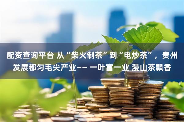 配资查询平台 从“柴火制茶”到“电炒茶”，贵州发展都匀毛尖产业—— 一叶富一业 漫山茶飘香