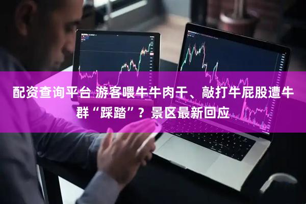 配资查询平台 游客喂牛牛肉干、敲打牛屁股遭牛群“踩踏”？景区最新回应